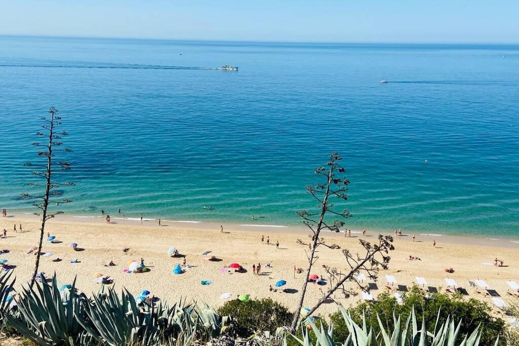 塞辛布拉Estudio Vista Mar Com A/C E Acesso Privado A Praia公寓 外观 照片